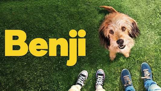 Benji - Backdrop