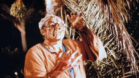 Dawn of the Mummy - Backdrops