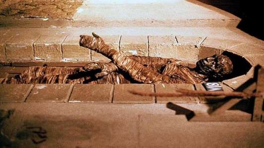 Dawn of the Mummy - Backdrops