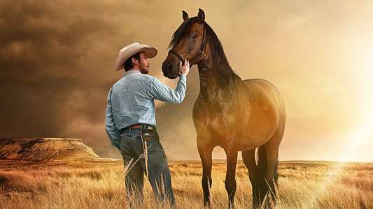 The Rider - Backdrop