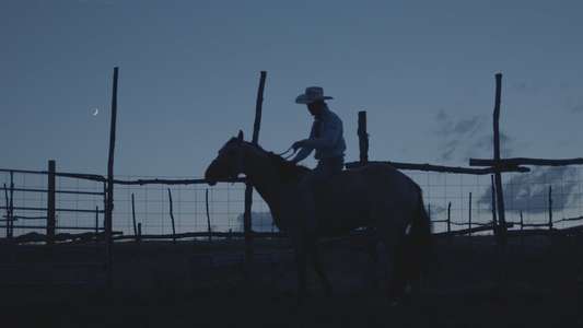 The Rider - Backdrop