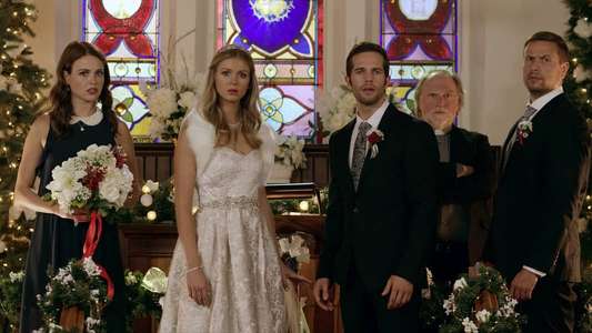 Christmas Wedding Planner - Backdrop