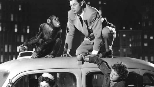 Tarzan's New York Adventure - Backdrop