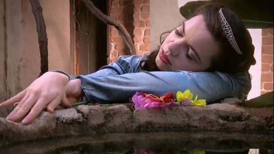 Sleeping Beauties - Backdrop