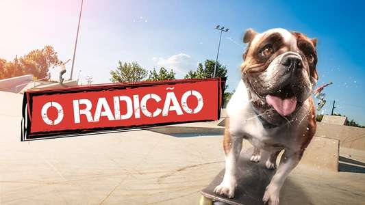 Sk8 Dawg - Backdrop
