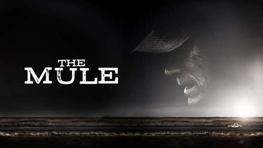 The Mule - Backdrop
