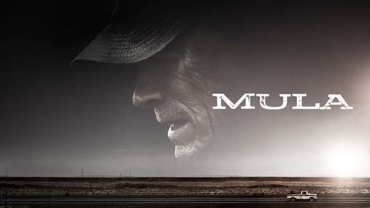 The Mule - Backdrop