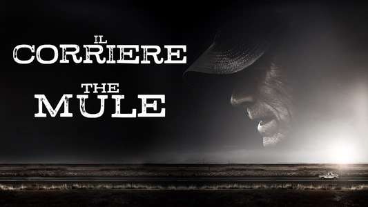 The Mule - Backdrop