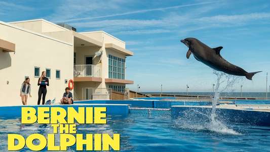 Bernie the Dolphin - Backdrop