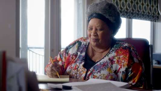 Toni Morrison: The Pieces I Am - Backdrop