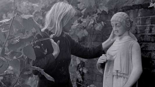 Marianne & Leonard: Words of Love - Backdrop