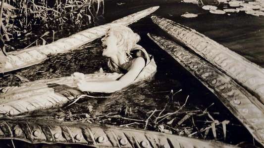 Voodoo Island - Backdrop