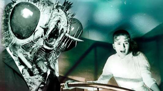Return of the Fly - Backdrop
