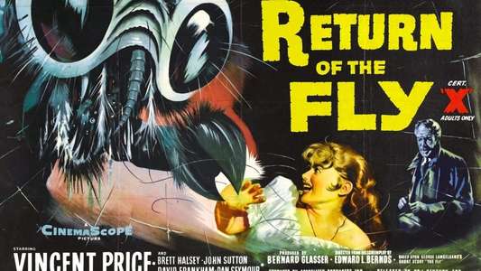 Return of the Fly - Backdrop