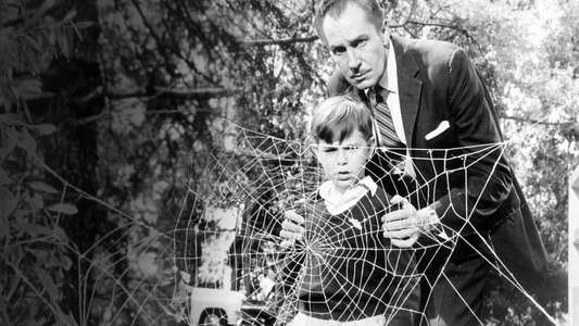 Return of the Fly - Backdrop