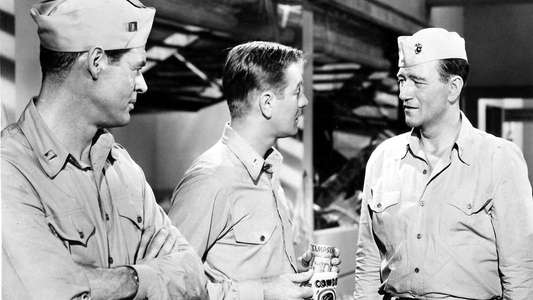 Flying Leathernecks - Backdrop