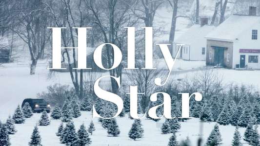 Holly Star - Backdrop