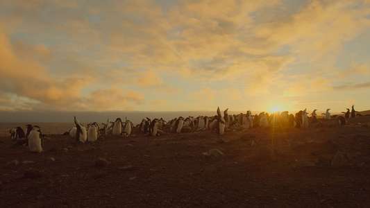 Earth: One Amazing Day - Backdrop