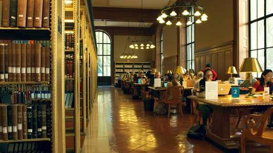 Ex Libris: New York Public Library - Backdrop