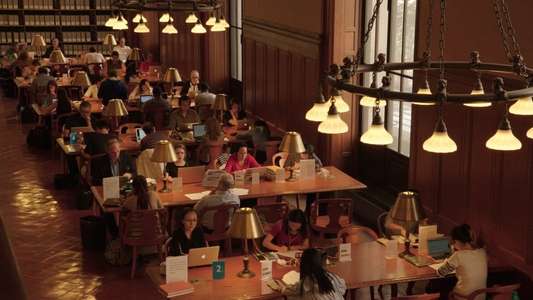 Ex Libris: New York Public Library - Backdrop