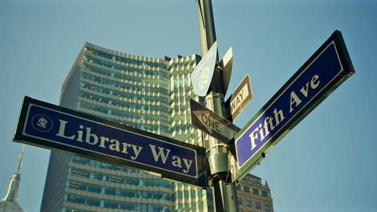 Ex Libris: New York Public Library - Backdrop