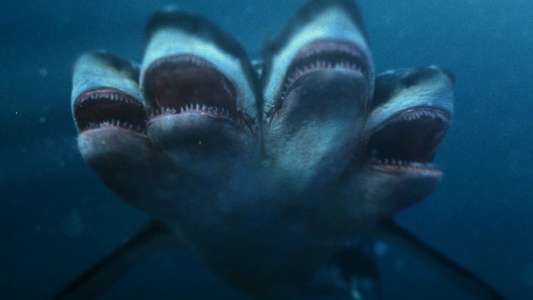 5 Headed Shark Attack - Backdrop