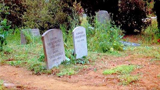 Family Plot - Backdrop