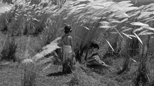 Pather Panchali - Backdrop
