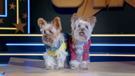 Pup Star: Better 2Gether - Backdrop