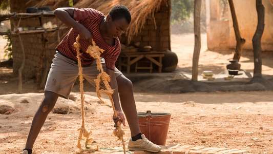 The Boy Who Harnessed the Wind - Backdrop