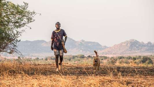 The Boy Who Harnessed the Wind - Backdrop