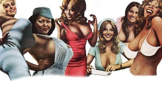 Beneath the Valley of the Ultra-Vixens - Backdrop