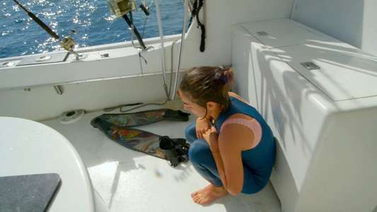Sharkwater: Extinction - Backdrop