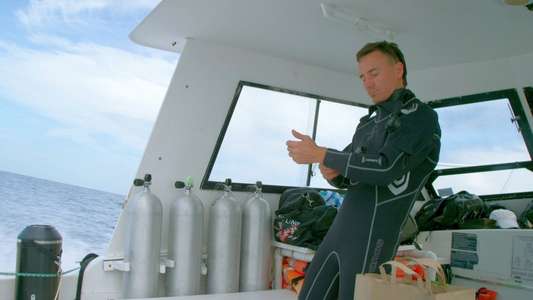 Sharkwater: Extinction - Backdrop