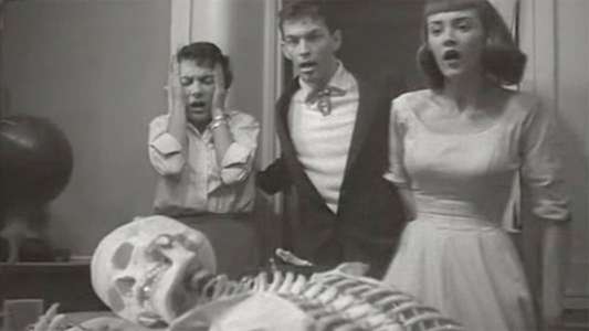 Teenagers from Outer Space - Backdrops