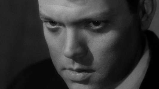 The Lady from Shanghai - Backdrop