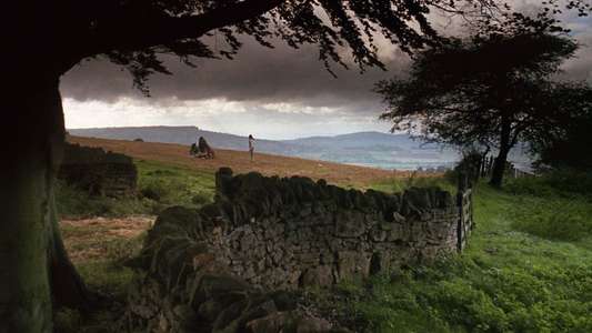 Barry Lyndon - Backdrop