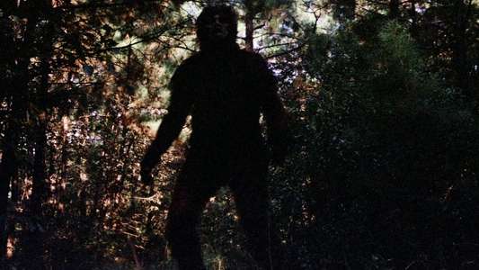 Creature from Black Lake - Backdrops