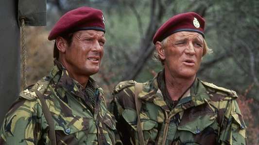 The Wild Geese - Backdrop
