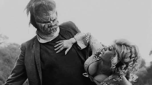 Dracula vs. Frankenstein - Backdrop