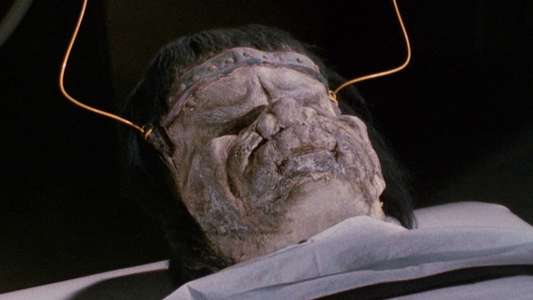 Dracula vs. Frankenstein - Backdrop