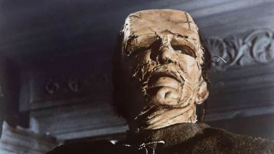 The Evil of Frankenstein - Backdrop
