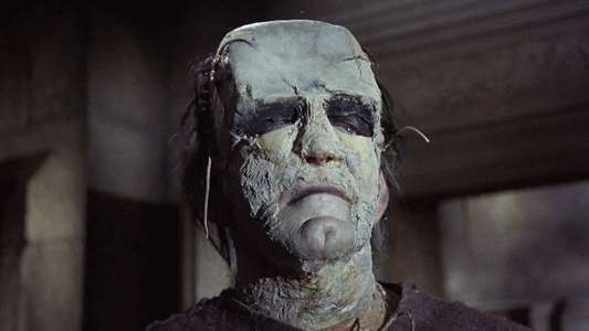The Evil of Frankenstein - Backdrop