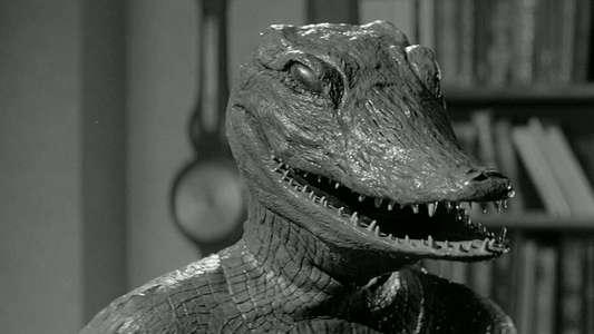 The Alligator People - Backdrop