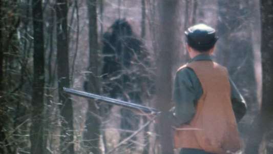 The Legend of Boggy Creek - Backdrop