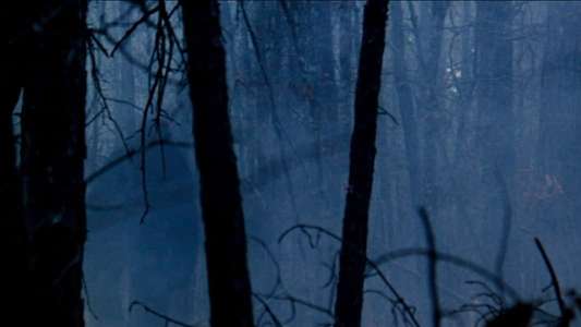 The Legend of Boggy Creek - Backdrop