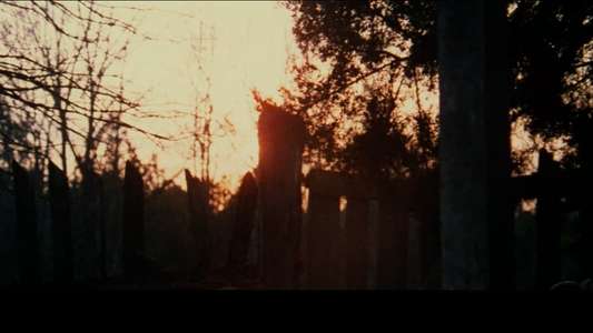 The Legend of Boggy Creek - Backdrop