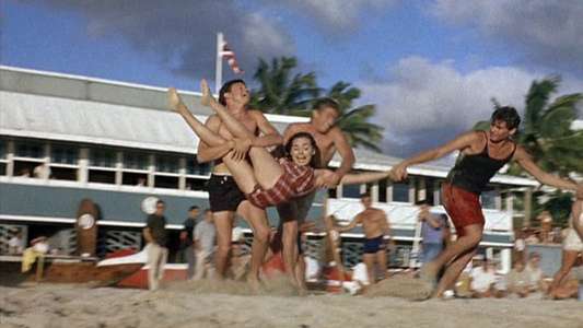 Gidget Goes Hawaiian - Backdrops