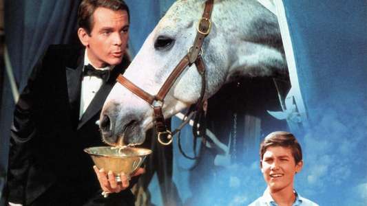 The Horse in the Gray Flannel Suit - Backdrops