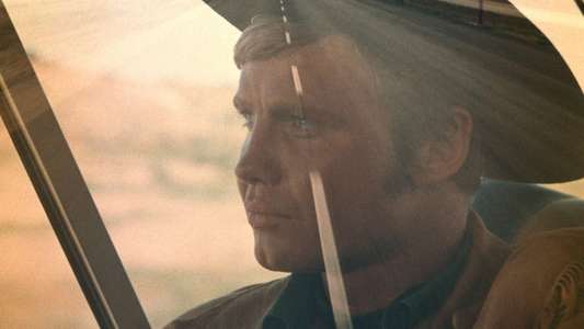Midnight Cowboy - Backdrop